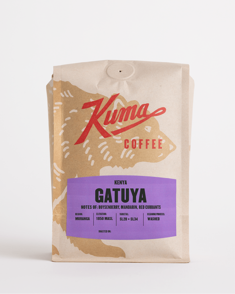 Kenya Gatuya