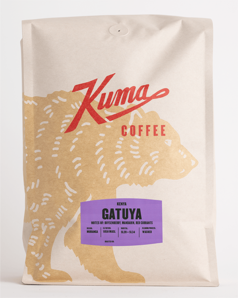 Kenya Gatuya