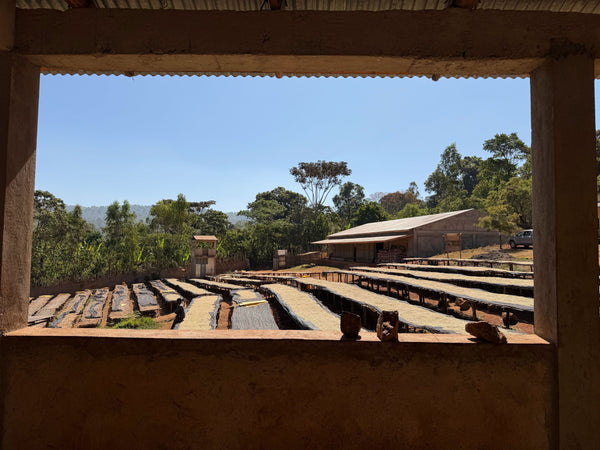 Ethiopia Gotiti